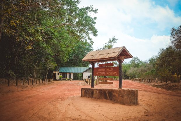 moniquedecaro-shimba-hills-6844