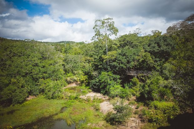moniquedecaro-shimba-hills-7041