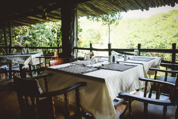 moniquedecaro-shimba-hills-7115