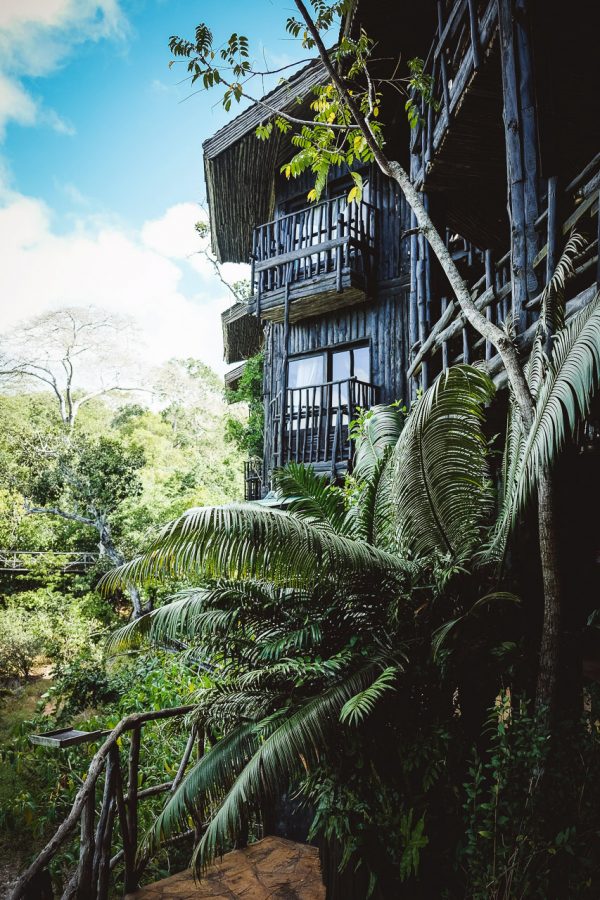 moniquedecaro-shimba-hills-7157