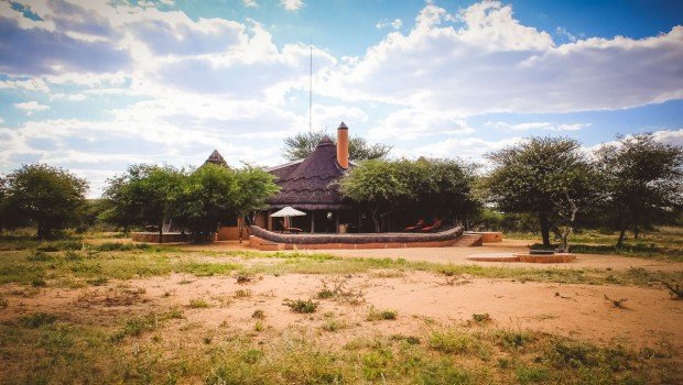 moniquedecaro-okonjima