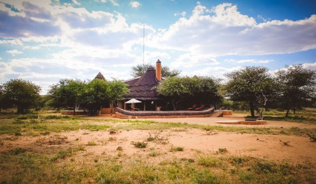 moniquedecaro-okonjima