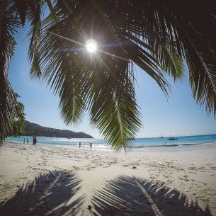 moniquedecaro--valleedemaiseychelles