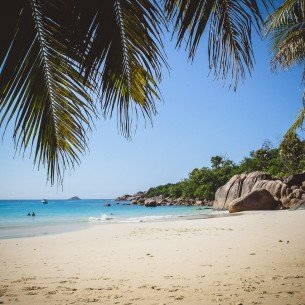 moniquedecaro--valleedemaiseychelles