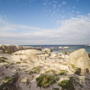 moniquedecaro-cape-town
