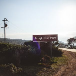 moniquedecaro-cape-town