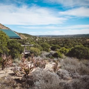 moniquedecaro-hillsnek-south-africa