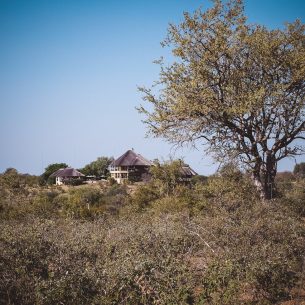 moniquedecaro-makumu-south-africa