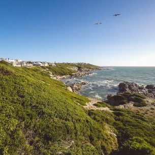 moniquedecaro-south-africa-sea-star-lodge