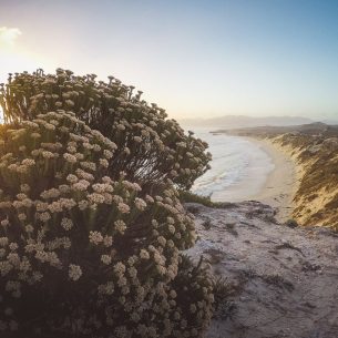 moniquedecaro-south-africa-sea-star-lodge