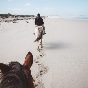 horseriding-south-africa-moniquedecaro